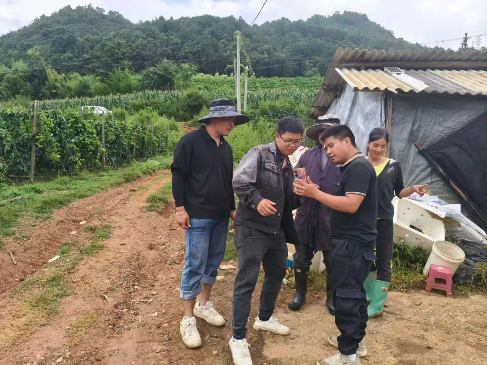 走访现场：会长带队与民悦数字农业团队交流